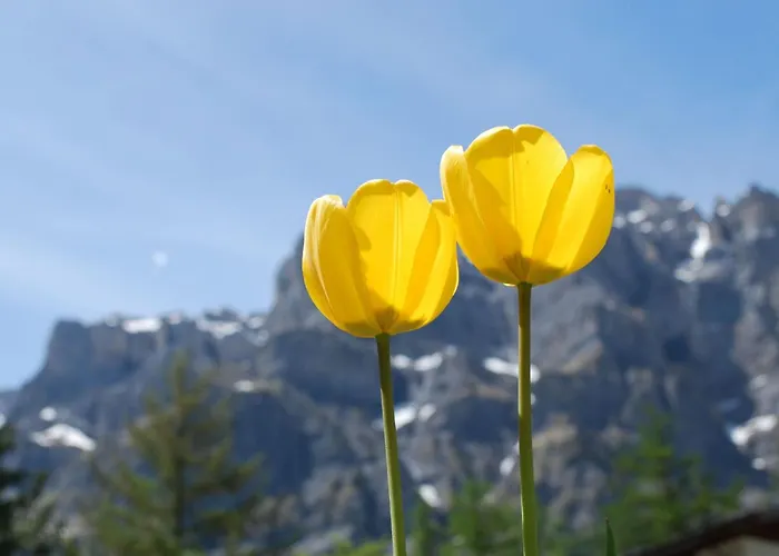 Apartamento Haus Cristal By Interhome *